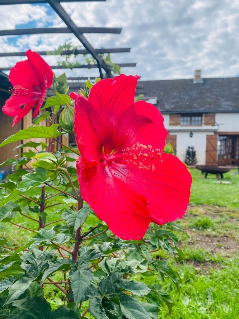 Le Chene D'Or Bed & Breakfast Marcheseuil Exterior photo